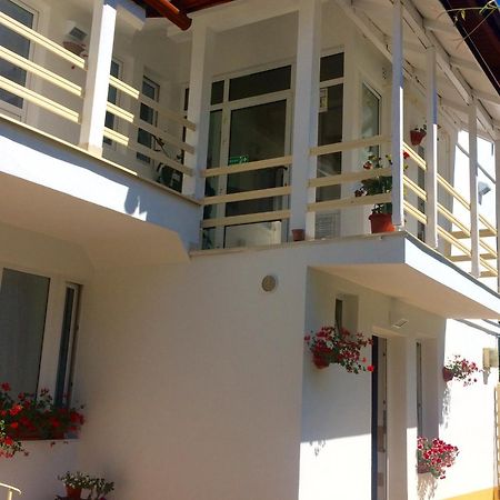 Suri Guesthouse Μπρασόβ Εξωτερικό φωτογραφία