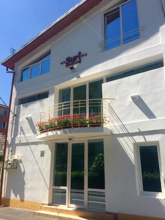 Suri Guesthouse Μπρασόβ Εξωτερικό φωτογραφία